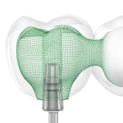 Dental implants anveli dental basal implant